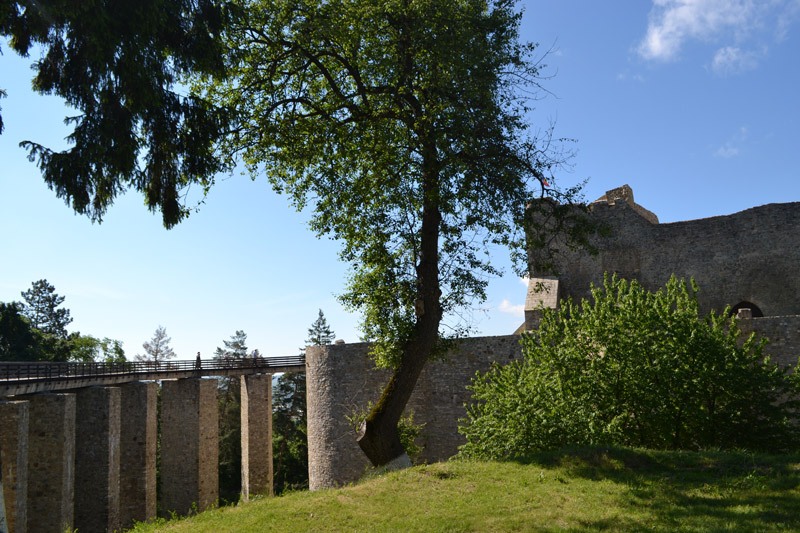 Neamt Fortress